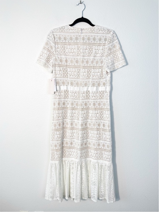 NWT Rachel Parcell Striped Lace Fitted Midi Dress in Lucent White Size Medium - Picture 5 of 7